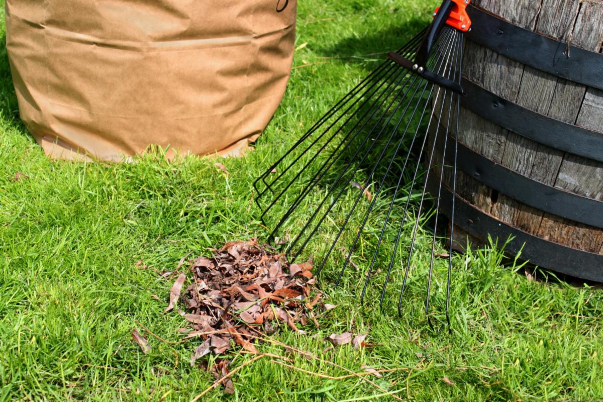 Free Spring Yard Waste Collection Begins Next Week